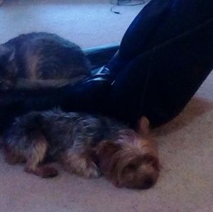 Meet your Posher, Dawna